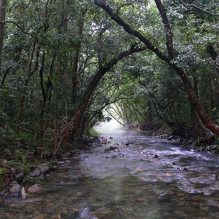 Heritage Lodge In The Daintree Кейп-Тріб'юлейшен Екстер'єр фото