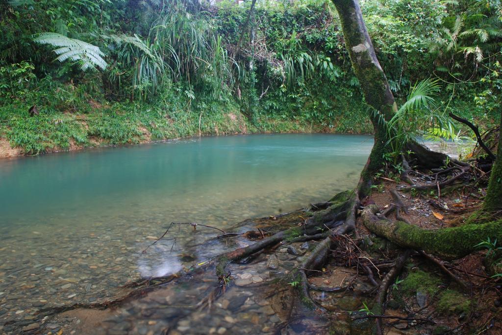 Heritage Lodge In The Daintree Кейп-Тріб'юлейшен Екстер'єр фото