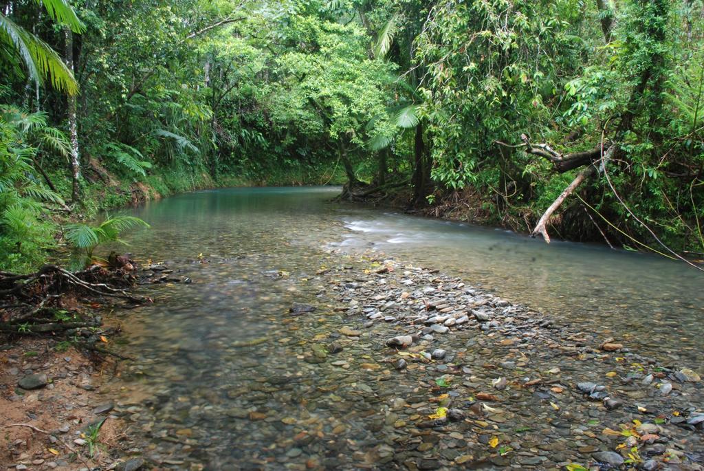 Heritage Lodge In The Daintree Кейп-Тріб'юлейшен Екстер'єр фото
