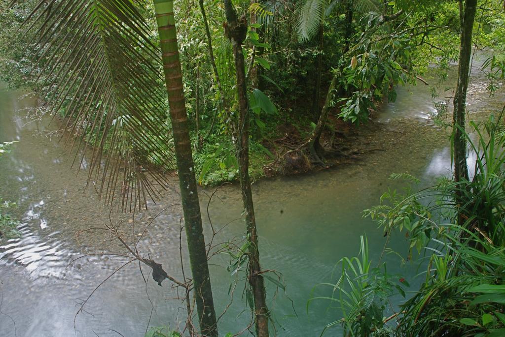 Heritage Lodge In The Daintree Кейп-Тріб'юлейшен Екстер'єр фото