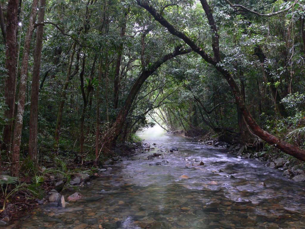 Heritage Lodge In The Daintree Кейп-Тріб'юлейшен Екстер'єр фото